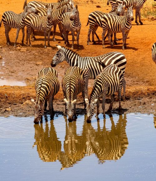 Kenya